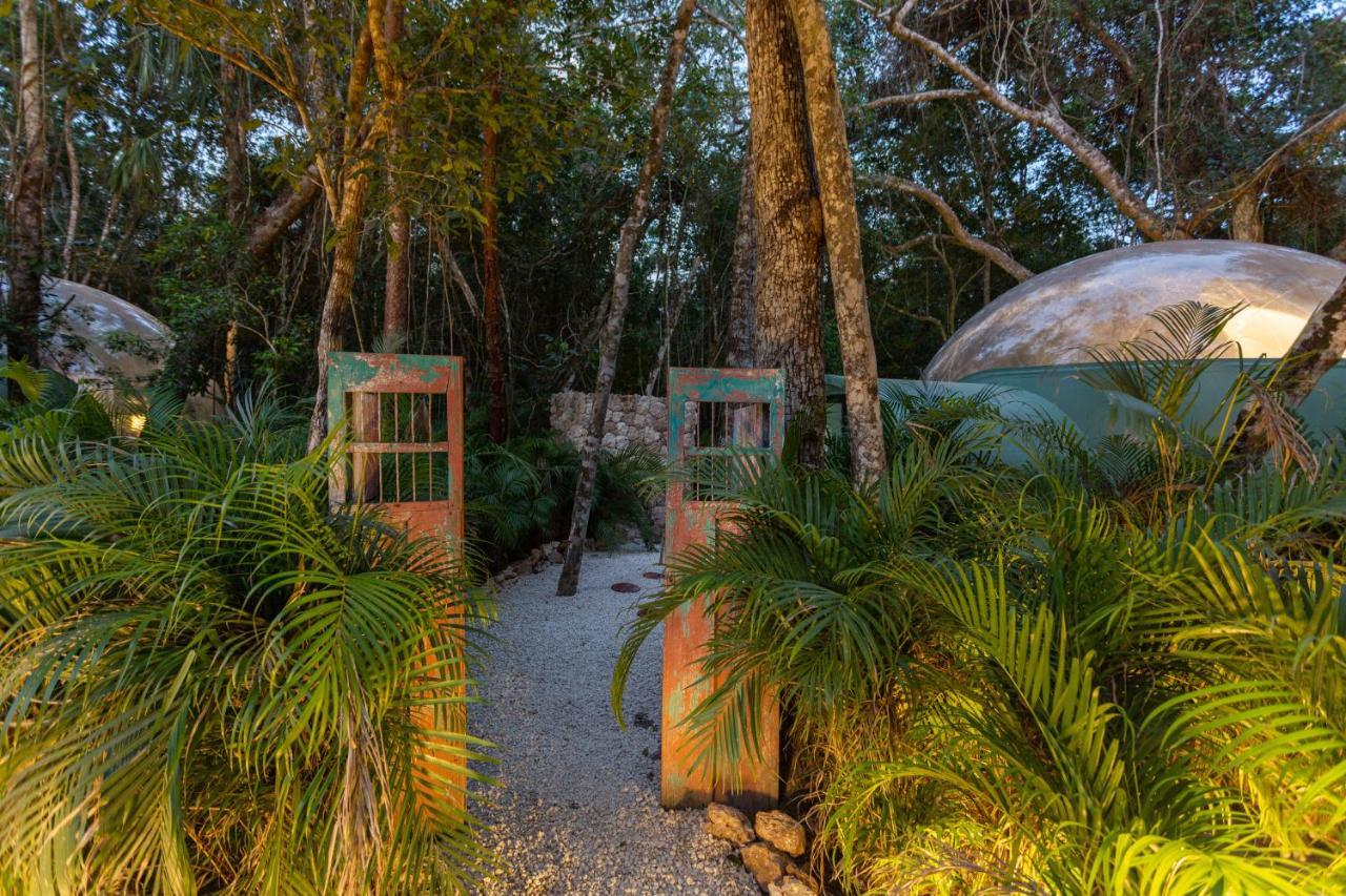 Oom Bubble Boutique Riviera Cancun - Adults Only Puerto Morelos Buitenkant foto